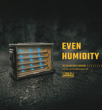 Load image into Gallery viewer, The Vault